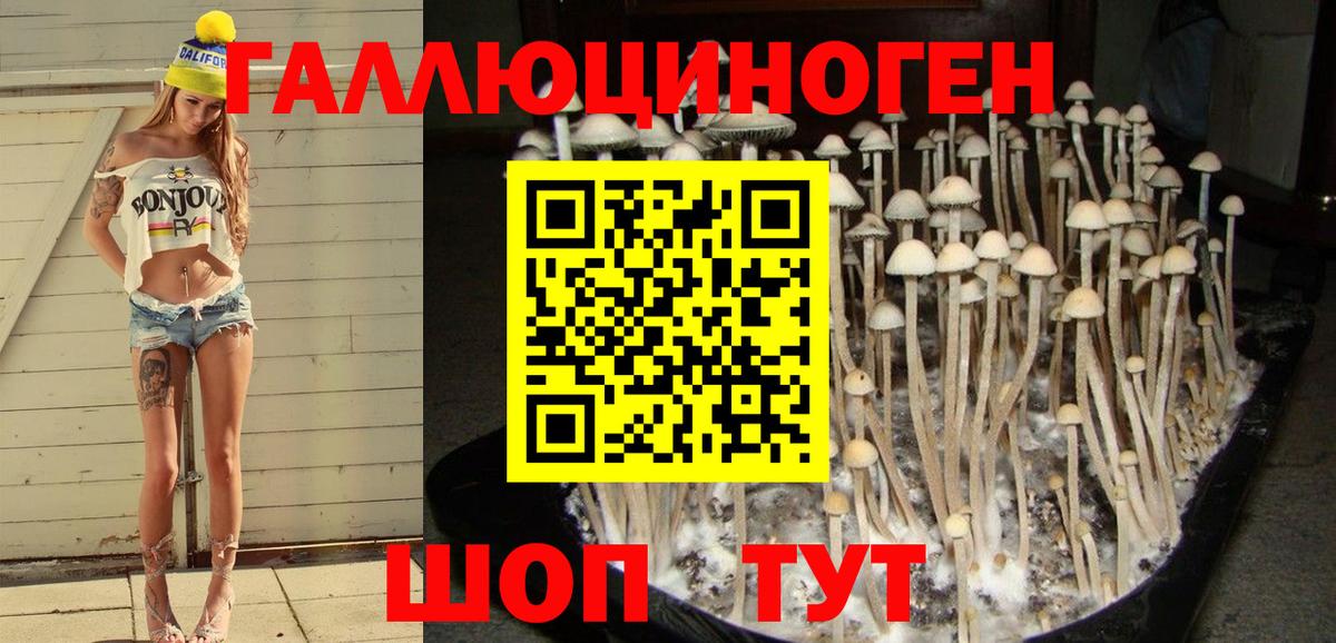 Галлюциногенные грибы MAGIC MUSHROOMS Лиски
